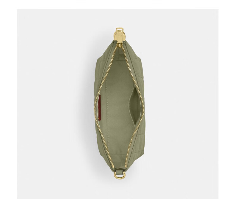 COACH Women's CAITLIN Quilted Detail Shoulder Crossbody Bag in Pistachio CDZ88 10