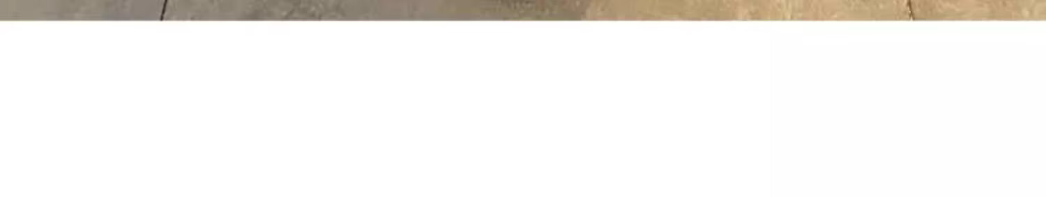 Langsha TR Bamboo Fiber Summer Wide-Leg Pants for Women Thin Draped Loose Casual New Chinese Style Ice Silk Trousers 22