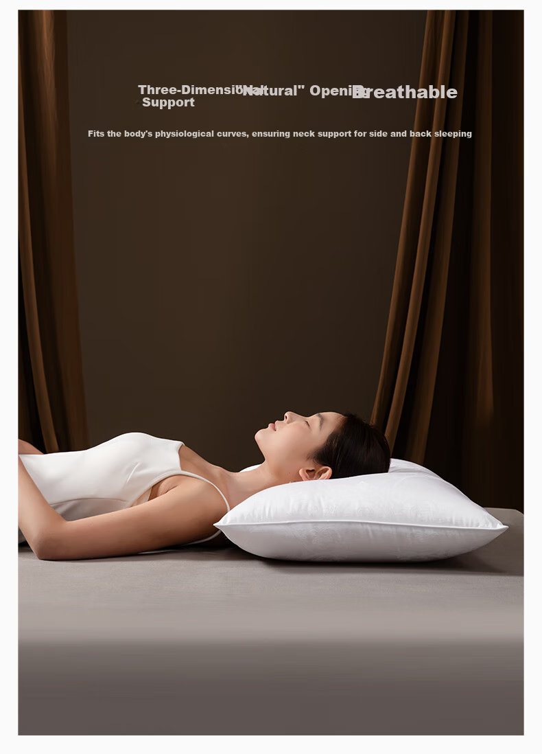 Silk Empress 100% Mulberry Silk Pillow Cervical Pillow Sleep Aid Medium-Low Height Single Home Use Comfortable Pillow Low Height 5