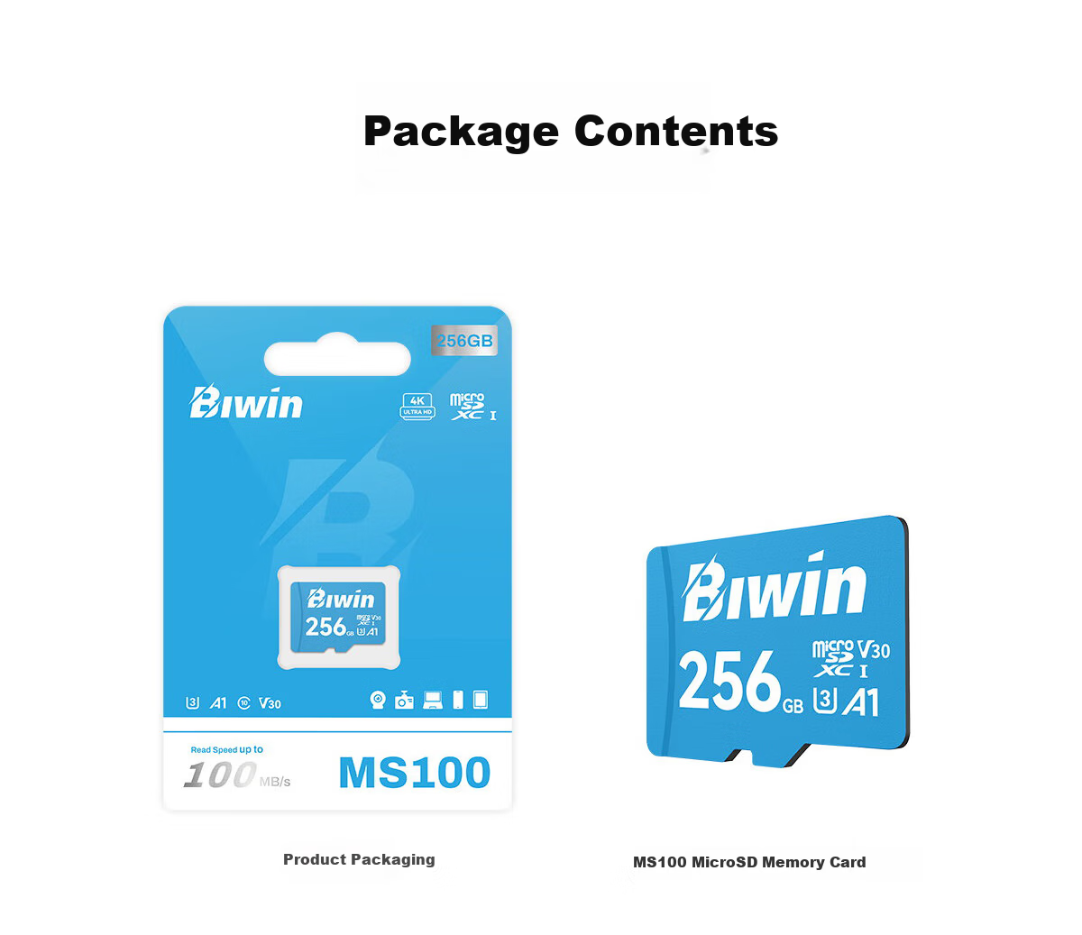 BIWIN 32GB TF (MicroSD) Memory Card A1 U1 V10 C10 MS100 Storage Card 100MB/s Read Speed Compatible with Dash Cam/Surveillance Camera 11