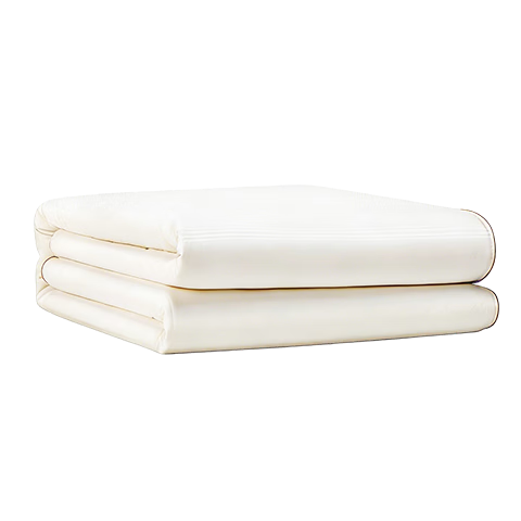 JD Jingzao Changbai Snow 100% Natural Silk Spring and Autumn Quilt - 220*240cm