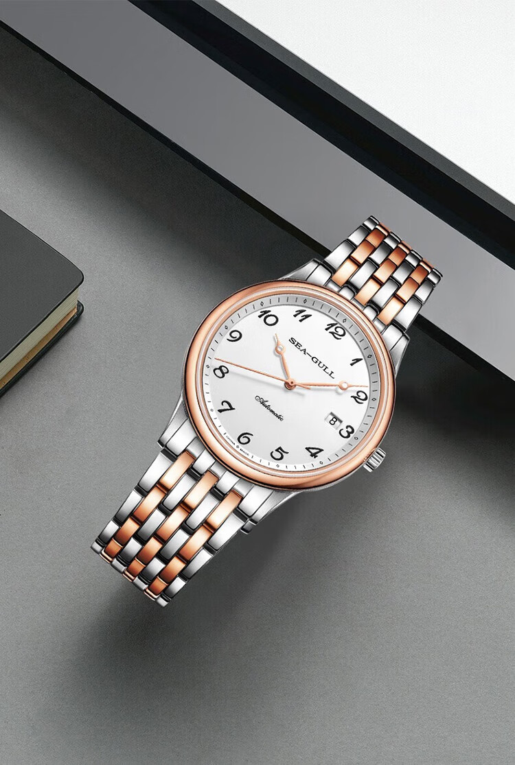 SEAGULL Automatic Mechanical Watch for Men, Simple Calendar Men's Watch, Birthday Gift for Men, National Watch 819.13.1054 22