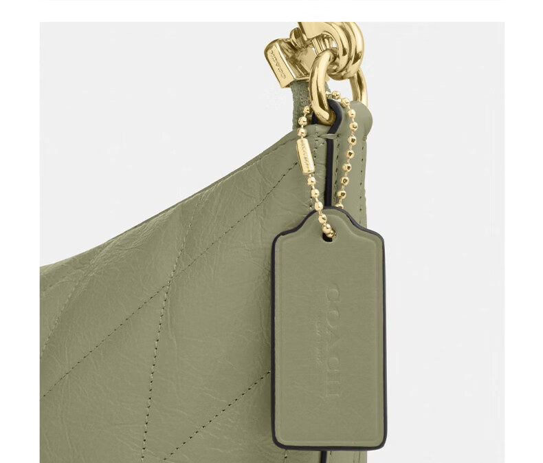 COACH Women's CAITLIN Quilted Detail Shoulder Crossbody Bag in Pistachio CDZ88 11