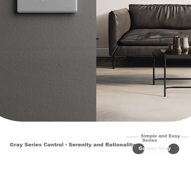 DELIXI 86-Type Ultra-Thin Matte Large Panel 260 Galaxy Gray Single-Gang Single-Control Switch Socket Panel 13