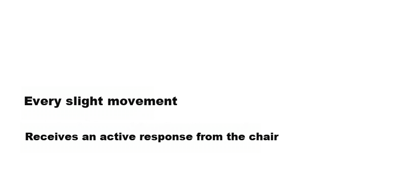 Sihoo C500 II / C300 II Ultra Ergonomic Computer Office Chair Human Engineering Seat 11