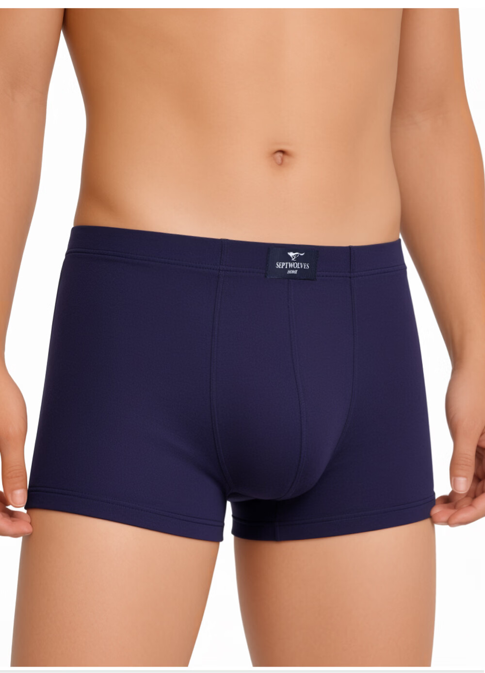 Seven Wolves Men's Underwear [10A Grade Full Antibacterial] Solid Color Boxer Briefs Comfortable Breathable Shorts 4-Pack L 5