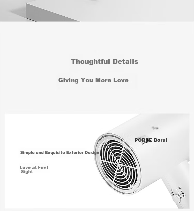 FLYCO PH1621 High-Power Hair Dryer Portable Low-Noise 3-Speed Temperature Concentrator Nozzle Home Student Dormitory Gift 10
