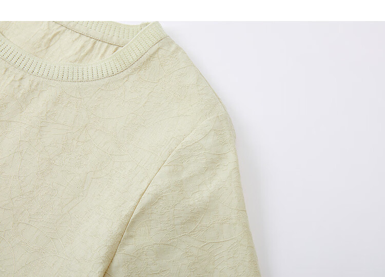Demana Minimalist Light Summer Simple Knit Textured Round Neck Lightweight Loose Short Sleeve Shirt for Women 16