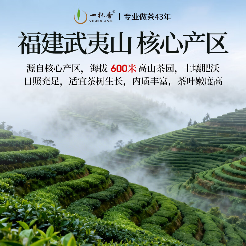 一杯香茶叶乌龙茶武夷山正岩大红袍250g礼盒装送礼自己喝茗茶散装