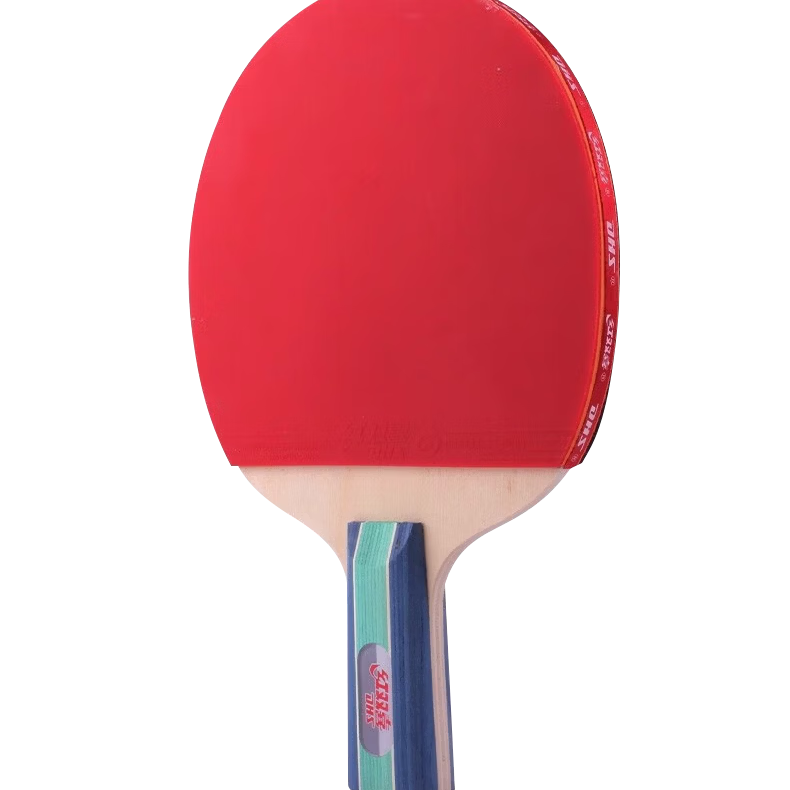DHS Kuangbiao Professional Star Diamond Table Tennis Racket, All-Round Penhold Grip Kuangbiao D02-L Black Glory, Includes Racket Cover And Table Tennis Balls