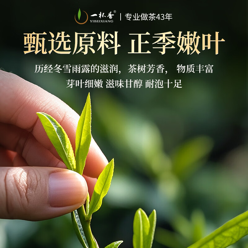 一杯香茶叶乌龙茶武夷山正岩大红袍250g礼盒装送礼自己喝茗茶散装