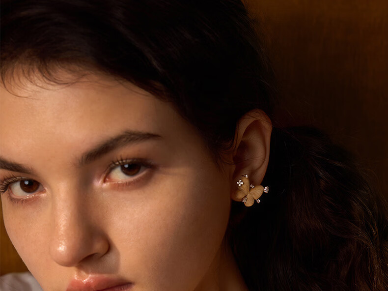 HEFANG Starlight Butterfly Earrings Luxury Jewelry Birthday Gift for Girlfriend Wife 6