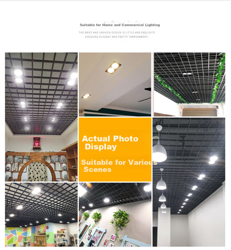 CARE LED Dual-Head Grid Downlight 22x12cm 16W Cool White Corridor Grid Ceiling Minimalist Downlight Black Housing 8