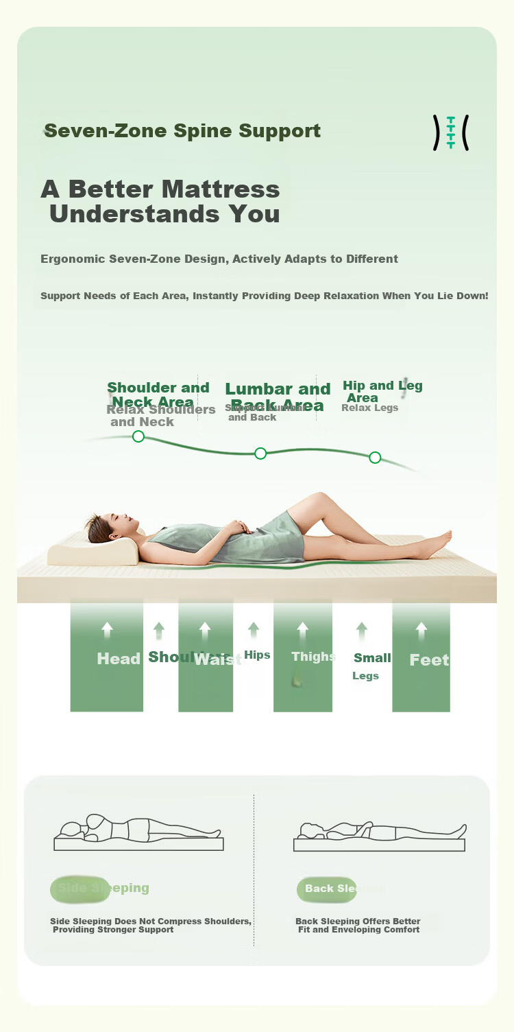 Golden Oak Thailand Imported 92% Natural Latex Mattress Pad Dormitory Single Thin Mattress 120*200*5cm 8