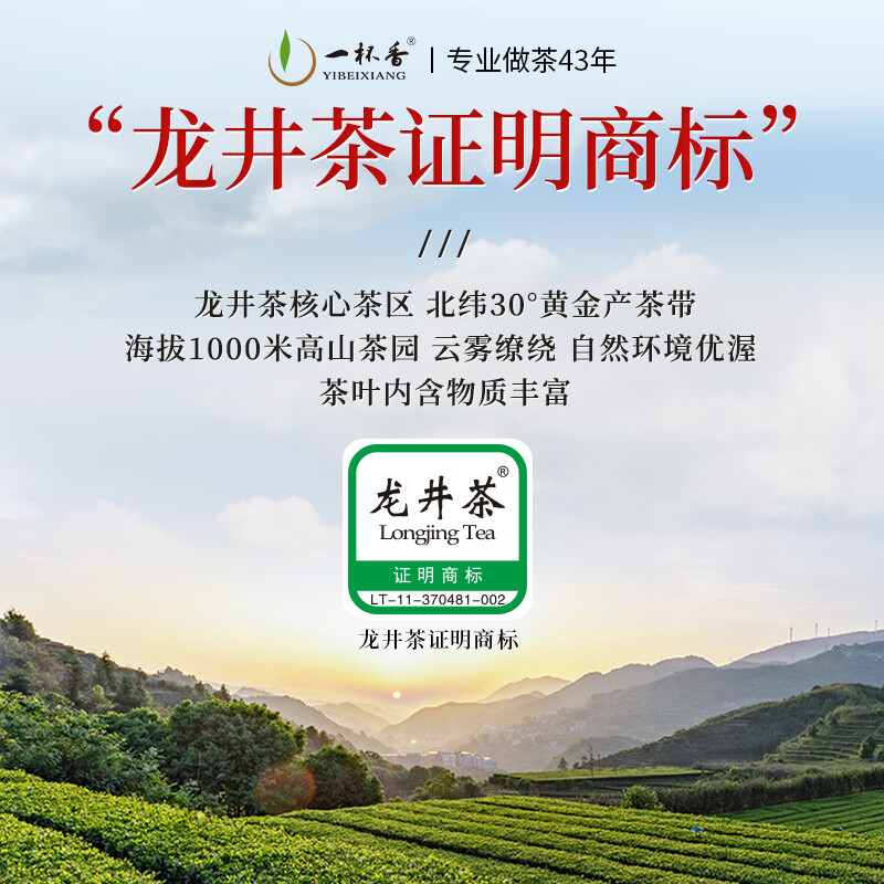 一杯香茶叶绿茶正宗明前龙井茶250g新茶礼盒装送礼自己喝散装茗茶