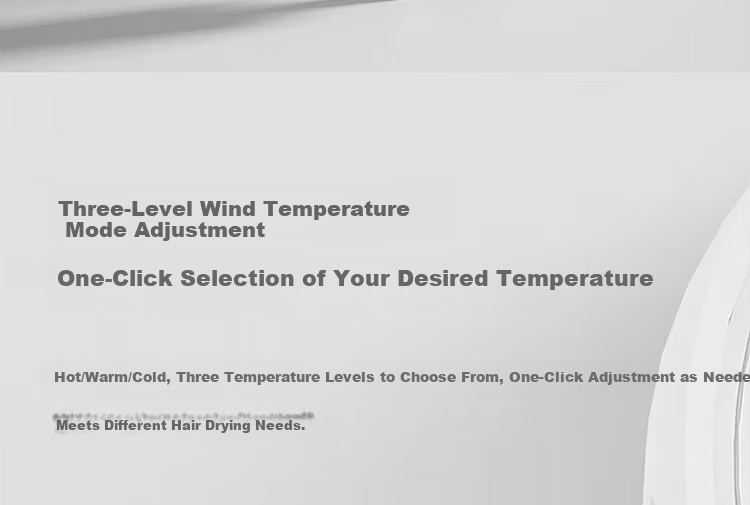 FLYCO PH1621 High-Power Hair Dryer Portable Low-Noise 3-Speed Temperature Concentrator Nozzle Home Student Dormitory Gift 7