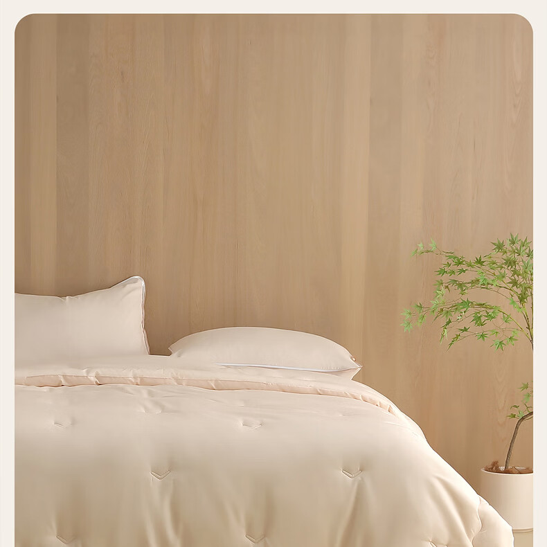 Shuixingjiafang Soybean Quilt Summer Cool Quilt Double Air Conditioning Quilt Washable Summer Quilt Thin Quilt 220x240cm Approximately 4 Ji 13