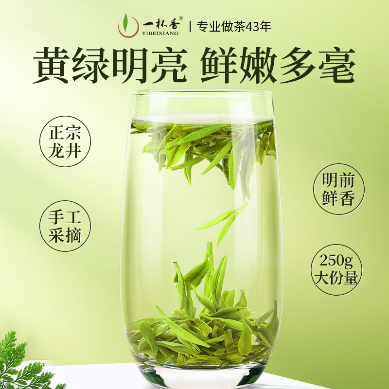 一杯香茶叶绿茶正宗明前龙井茶250g新茶礼盒装送礼自己喝散装茗茶