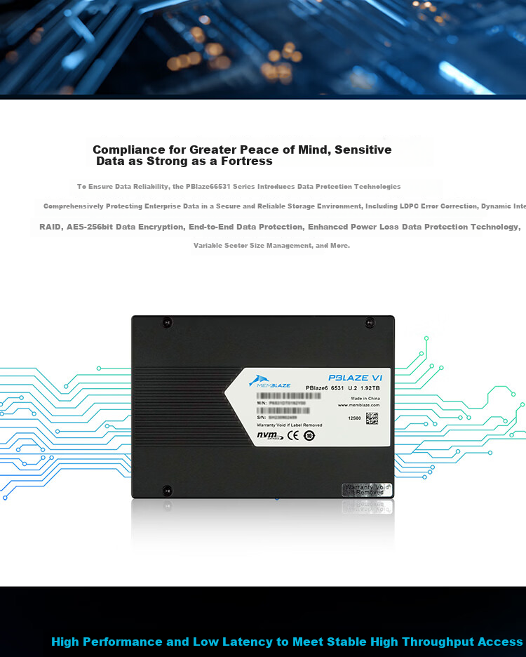 Memblaze Yiheng Chuangyuan Little Dolphin Data Center Enterprise SSD 3.84TB PCIe4.0 U.2 Read-Intensive P6531DT0384Y00 3
