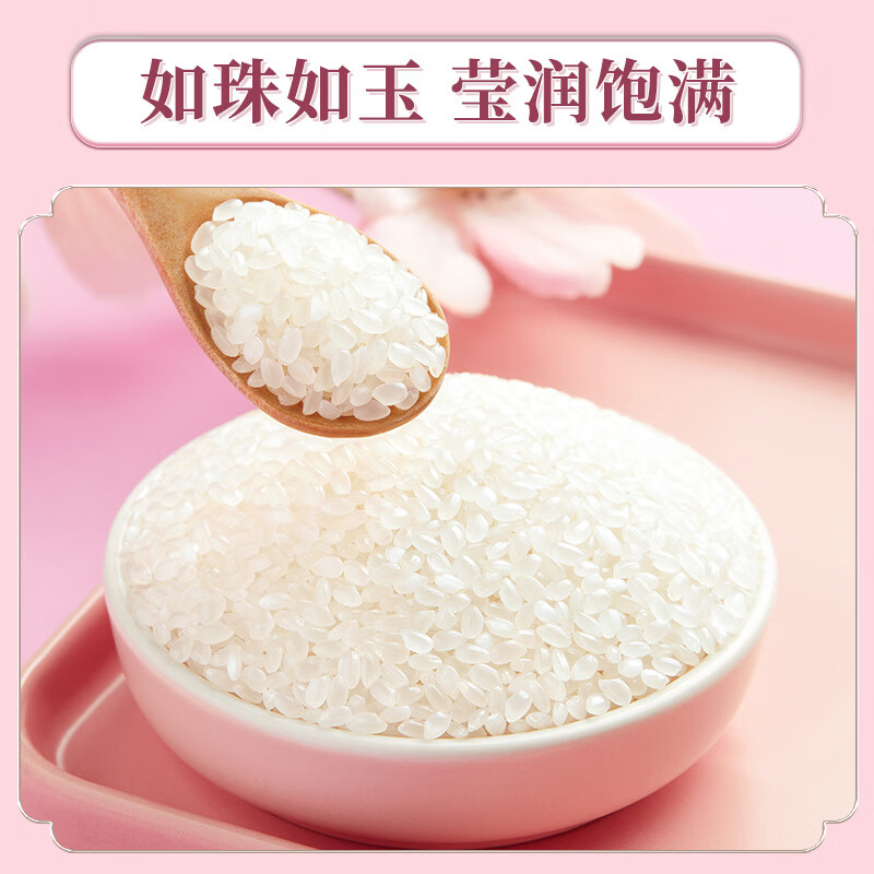 十月稻田 2025年新米 香稻贡米 东北大米 香米 粳米 小包装 2斤