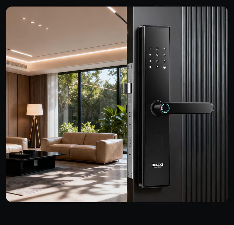 Delixi Electric Password Lock Smart Door Lock Home Fingerprint Lock Self-operated Smart Lock Anti-theft Electronic Entry Door Lock with Installation 28