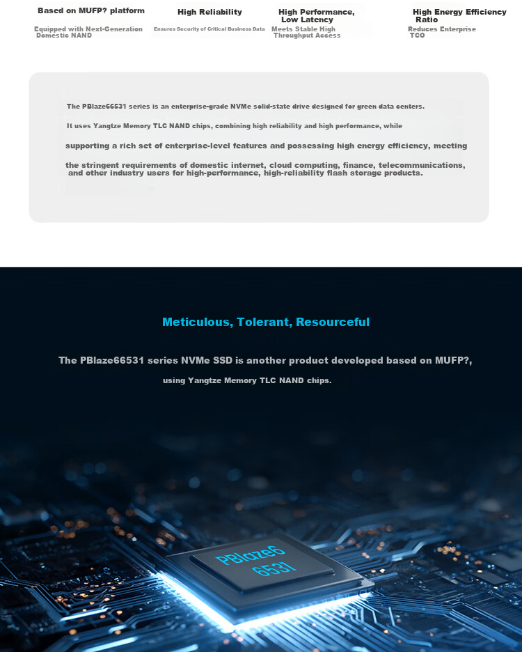 Memblaze Yiheng Chuangyuan Little Dolphin Data Center Enterprise SSD 3.84TB PCIe4.0 U.2 Read-Intensive P6531DT0384Y00 2