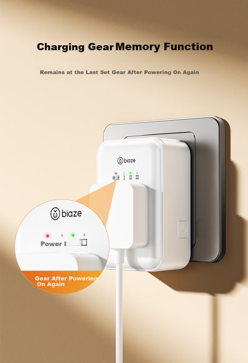 BIAZE Electric Vehicle Charger Protector Socket Automatic Power Off Overcharge Prevention Fireproof Wireless 1-Outlet National Standard 6