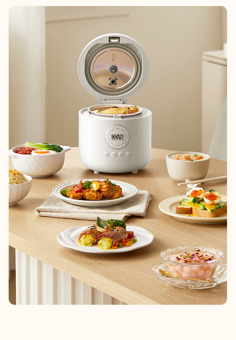 DAEWOO Mini Rice Cooker 1.2L Smart Small Electric Rice Cooker for 1-2 People Multifunctional Low Sugar Micro Pressure FB23DT Purple 14