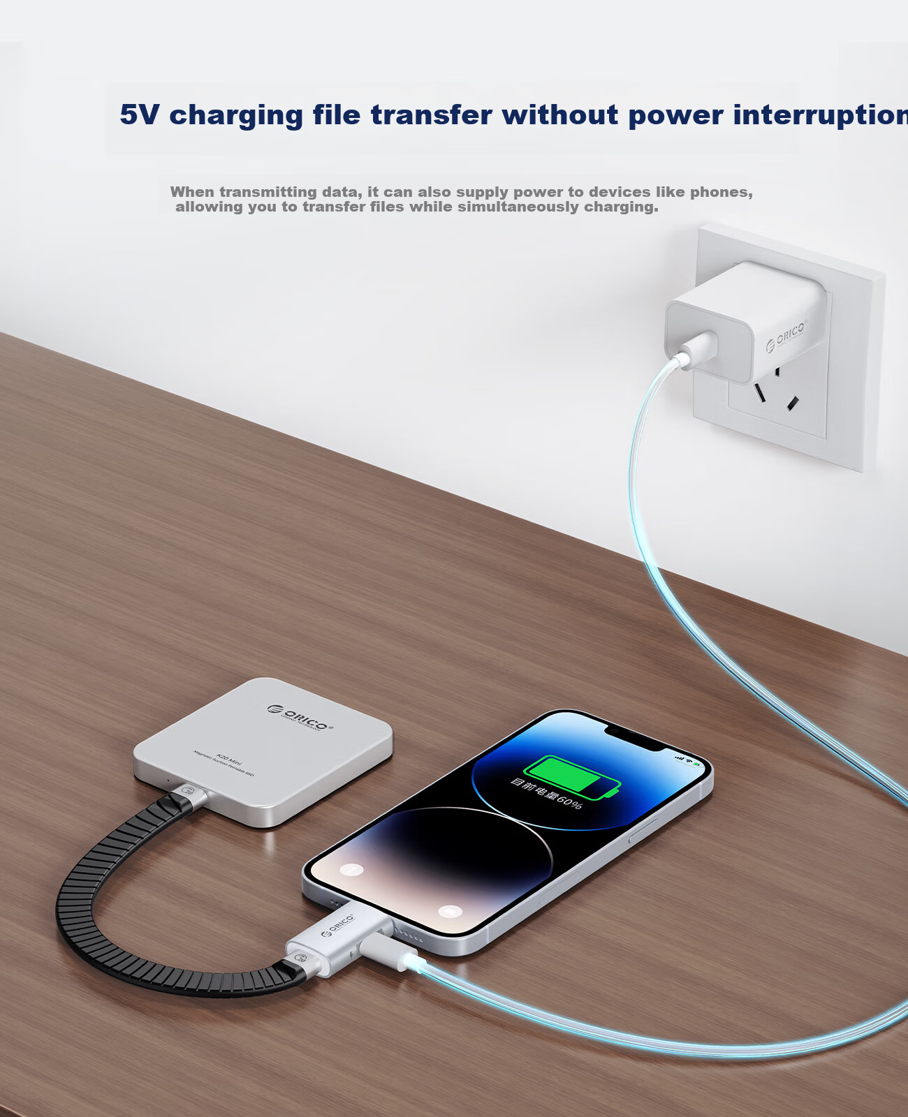 ORICO Type-C to Lightning Adapter for Apple Mobile SSD Compatible with iPhone 14/13 Pro/Max/12/11/8/7/6s 4