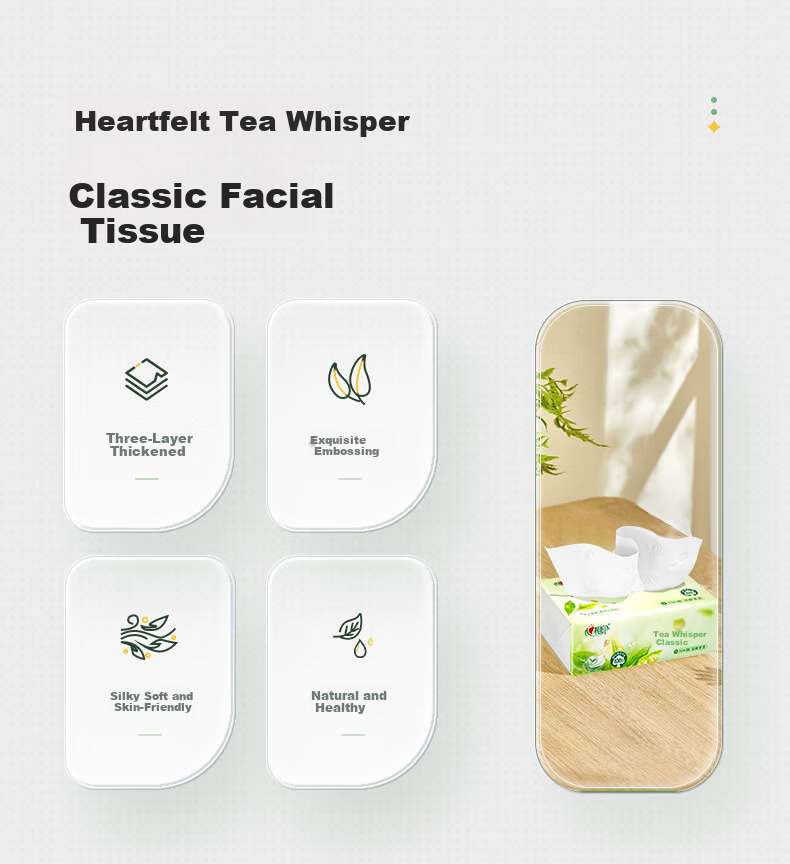 Xinxiangyin Tea Classic Facial Tissue 100 Sheets 48 Packs S Size Carton 4