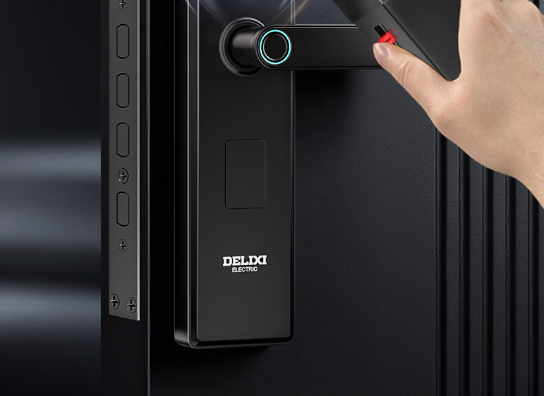 Delixi Electric Password Lock Smart Door Lock Home Fingerprint Lock Self-operated Smart Lock Anti-theft Electronic Entry Door Lock with Installation 26