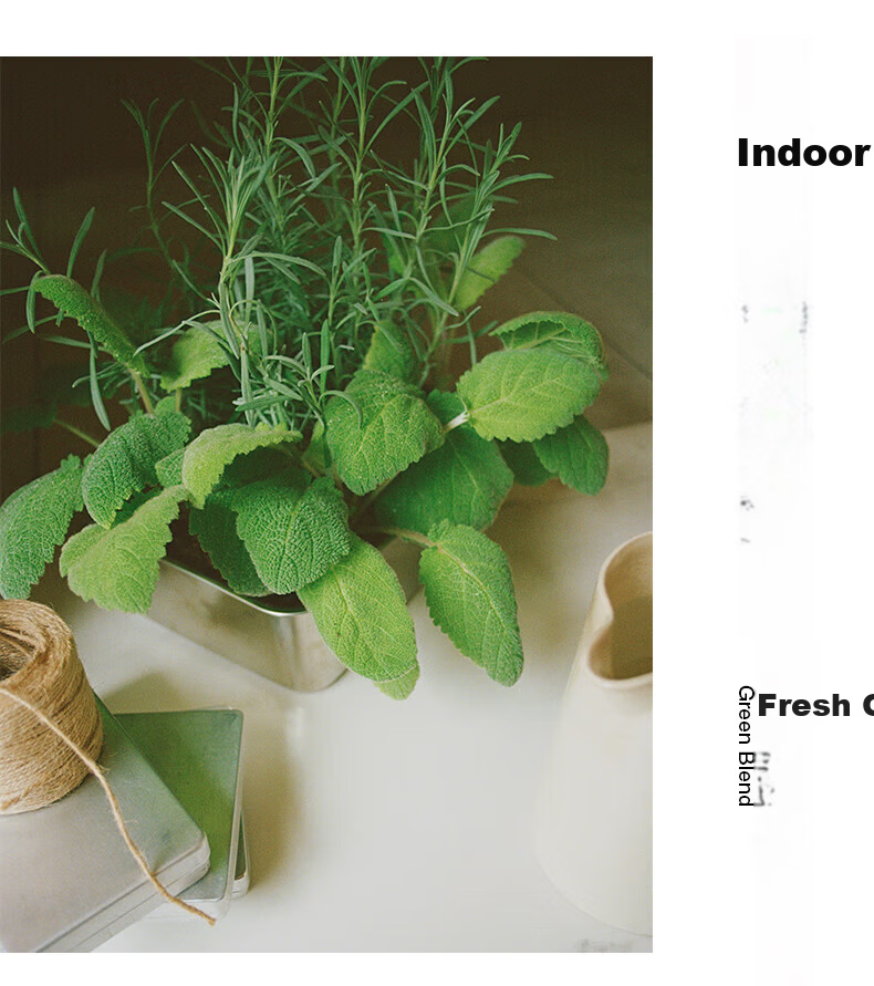 MUJI Indoor Fragrance Oil Aromatherapy Essential Oil Flameless Home Bedroom Herbal Refill 200mL 1