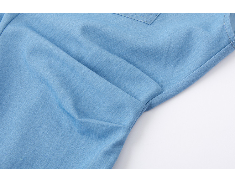 Demana [Dreamy Blue] Summer Elegant Lapel Sleeve Pleated Waist Slimming A-Line Dress for Women High-End Feel 14