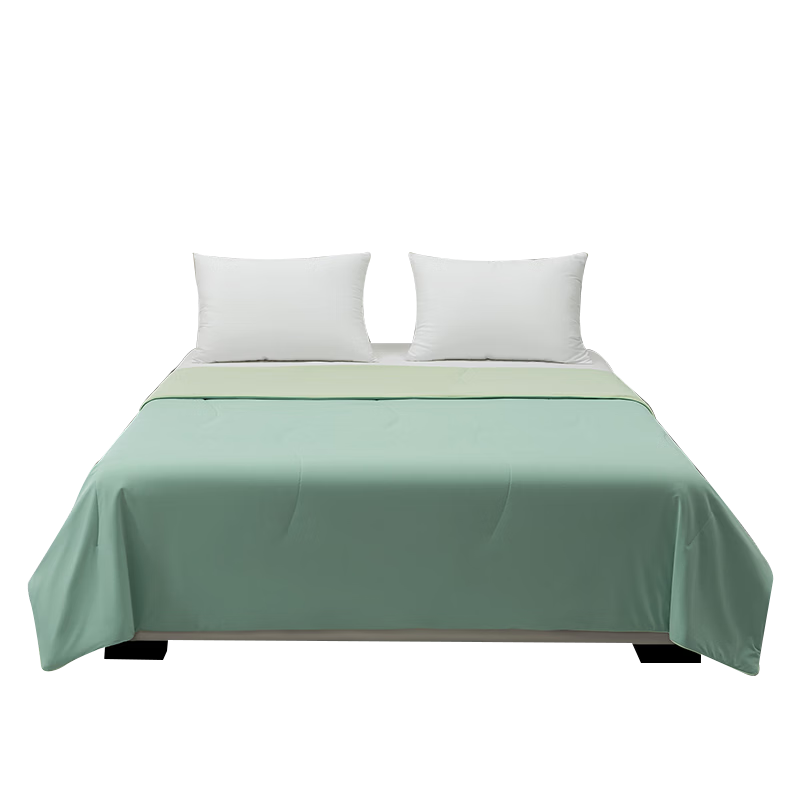 Hilton Air Conditioning Quilt Summer Cooling Quilt Core Class A Washable Tencel Quilt Qinxilv 200*230cm