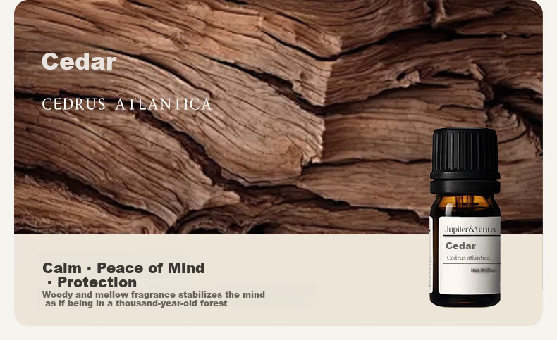 Jupiter & Venus Dried Tangerine Peel Essential Oil Aromatherapy Natural Plant Fragrance Long-lasting Home Indoor Diffuser 16