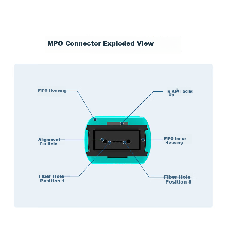 8-Core MPO-MPO Fiber Optic Patch Cord Female B Polarity Compatible MTP OM3 Multimode 10G/40G/100G Optical Module Bundle Fiber Cable 20m Q3-PP820 5