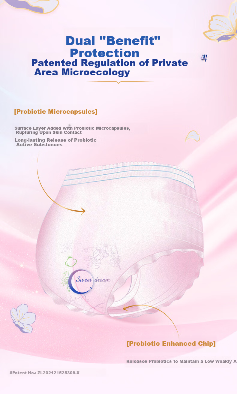 Eun Jee Probiotic Comfort Pants L-XL Size 6pcs Ultra-thin Breathable Night Leak-proof Menstrual Sleep Pull-up Pants 1