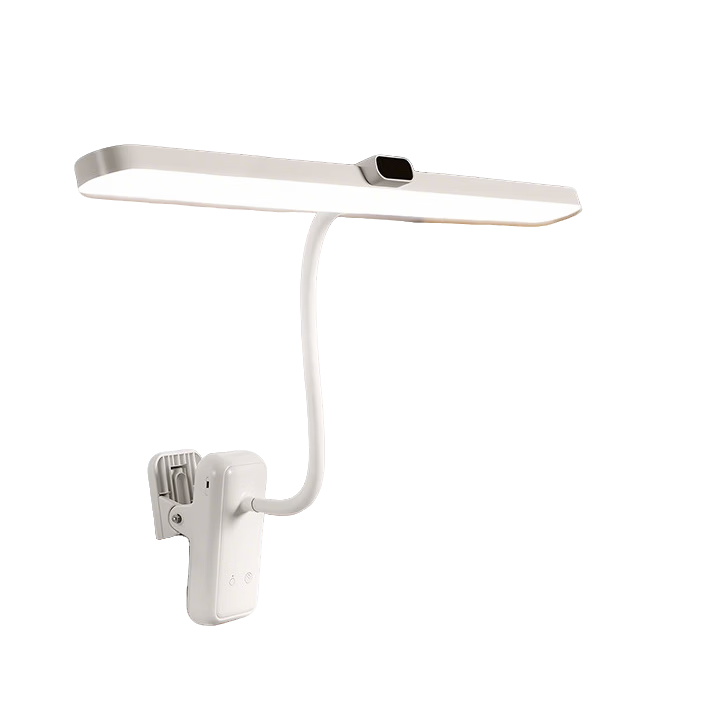 Datouren Grade A Desk Lamp College Dorm Bedside Eye Protection Study Clip-on Reading Rechargeable Desk Lamp