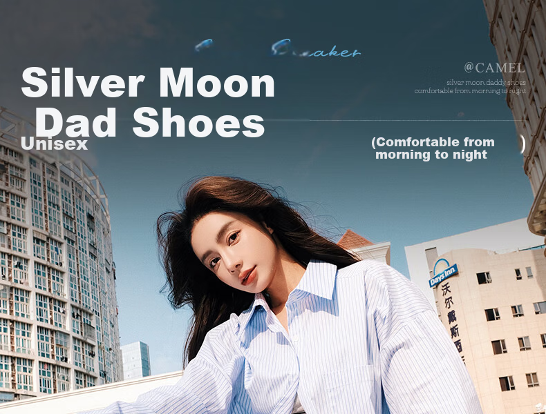 CAMEL Silver Moon Outdoor Retro Dad Shoes Thick Sole Casual Shoes L24A255753W Gray/Gun/Black (Mesh) Size 36 2