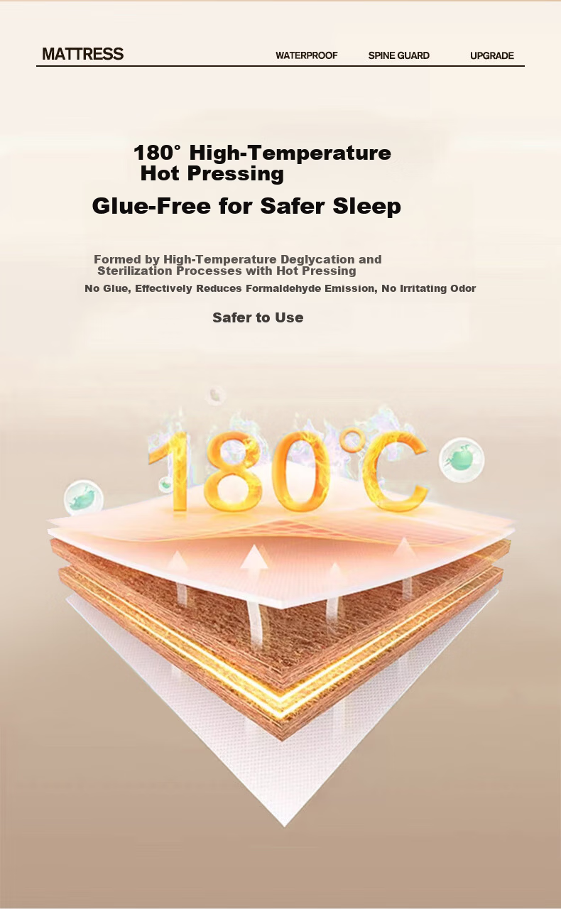 Zhuobo Coconut Palm Mattress Student Dormitory Mattress Firm Palm Mattress Foldable Mattress CD05 Model 90*190cm 10