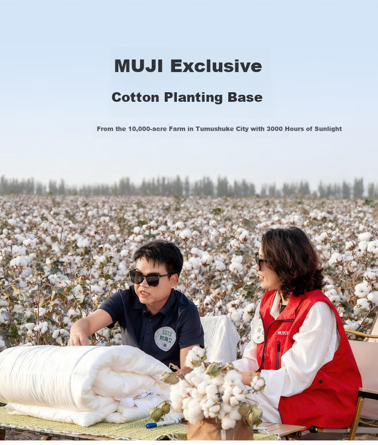 MUJI Origin Series 60-Count Xinjiang Cotton Four-Piece Set Ultra-Soft Class A Antibacterial Pure Cotton Bedding Set 1.8/2.0m Bed Glacier Blue 1