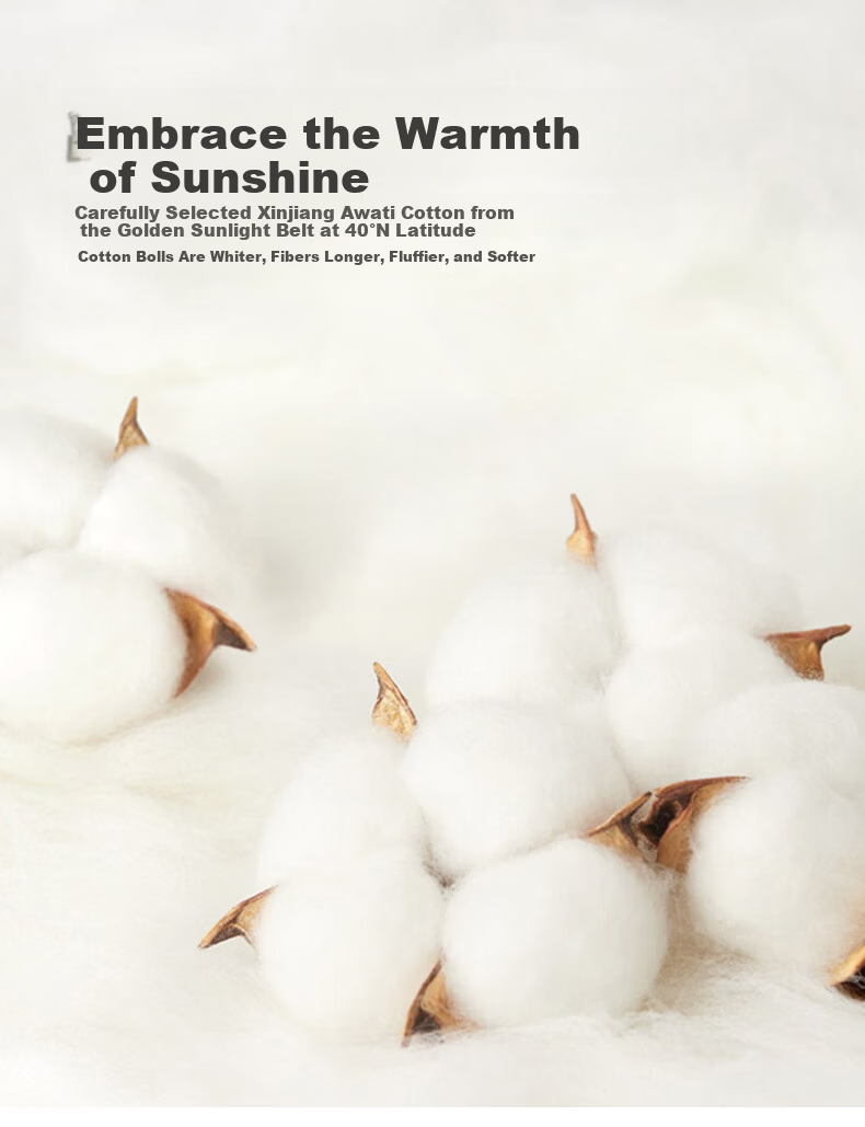Grace Class A Antibacterial Cotton Quilt Double Home Quilt Core Autumn Winter 6 Jin 200*230cm Three-Heart Leaf 3