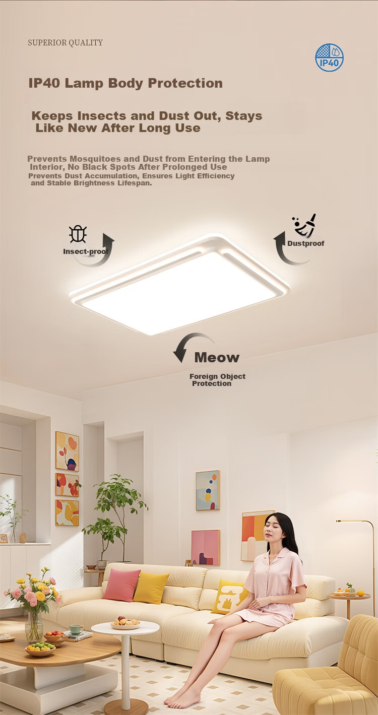 NVC Offline Voice Full-Spectrum Ceiling Light Living Room Main Light Eye Protection Bedroom Lamp with Installation Included 12