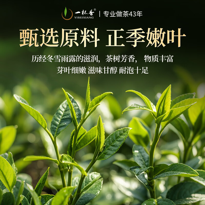 一杯香茶叶潮州乌龙茶凤凰单枞鸭屎香250g礼盒装送礼自己喝散装茗茶