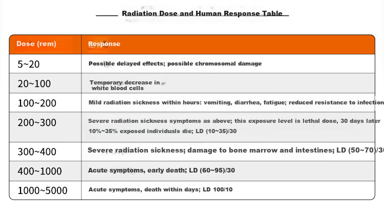 Aikesi Nuclear Radiation Detector, Beta Gamma X-Ray Marble X-Ray CT Personal Radiation Dosimeter Alarm, Geiger Counter 3