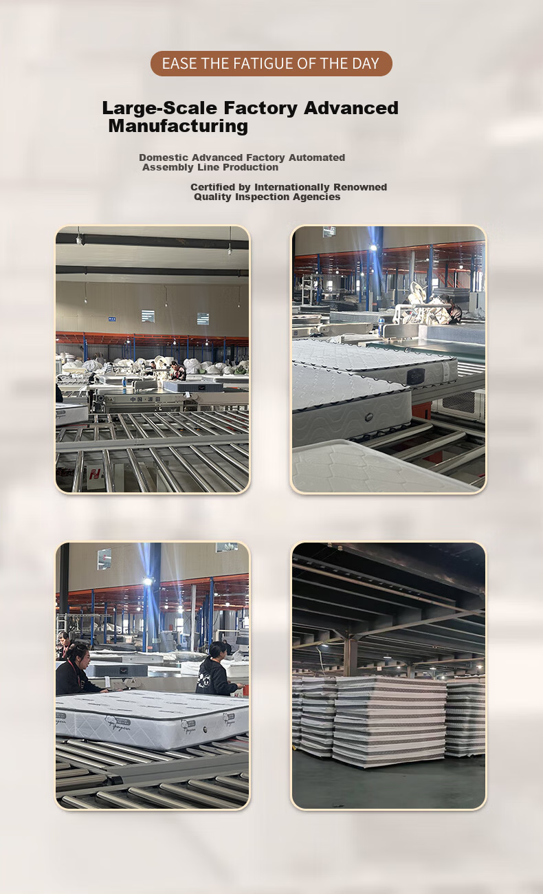 Zhuobo Coconut Palm Mattress Student Dormitory Mattress Firm Palm Mattress Foldable Mattress CD05 Model 90*190cm 12