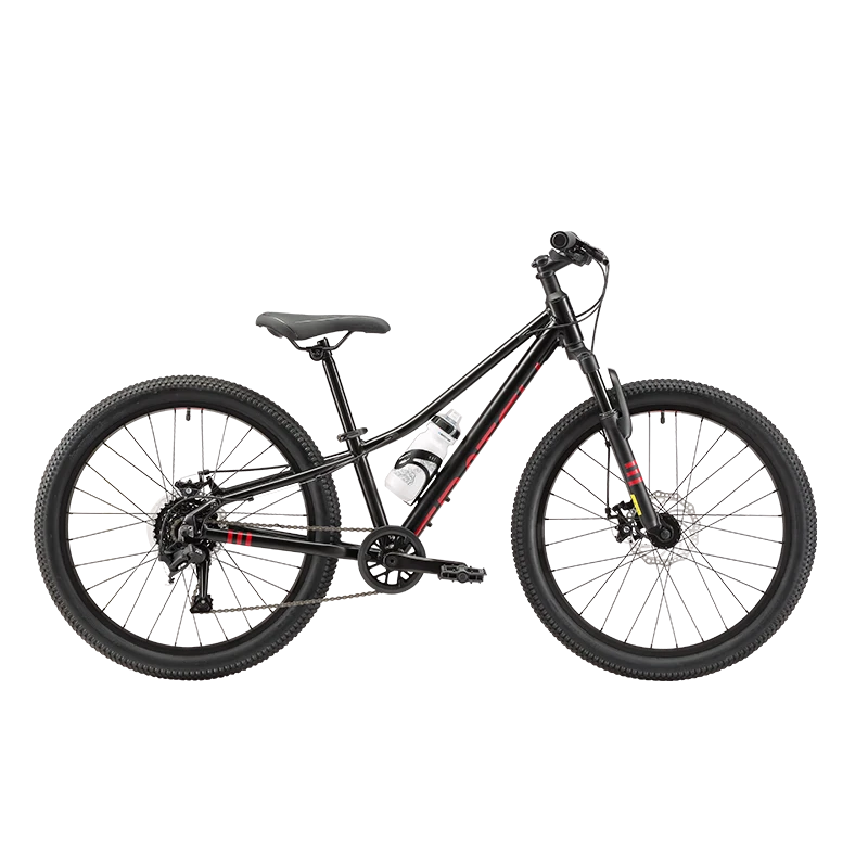 Baiqi Y2 Mountain Bike Youth School Commuter Bicycle 24-inch 8-Speed Flint Black 24-Inch