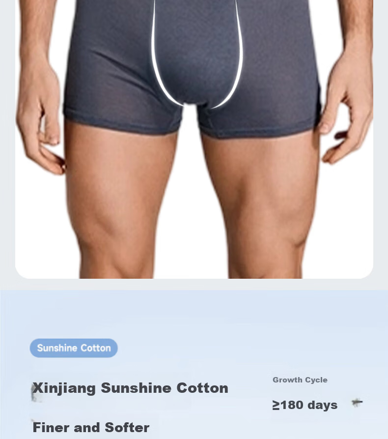 LangSha Disposable Men's Cotton Underwear Travel Business Sterilized Daily Disposable Briefs 5-Pack Colorful Shorts 9