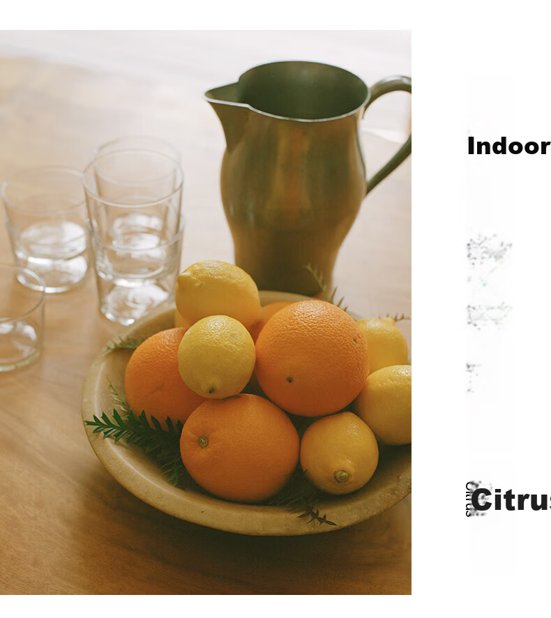 MUJI Indoor Fragrance Oil Aromatherapy Essential Oil Flameless Home Bedroom Herbal Refill 200mL 5