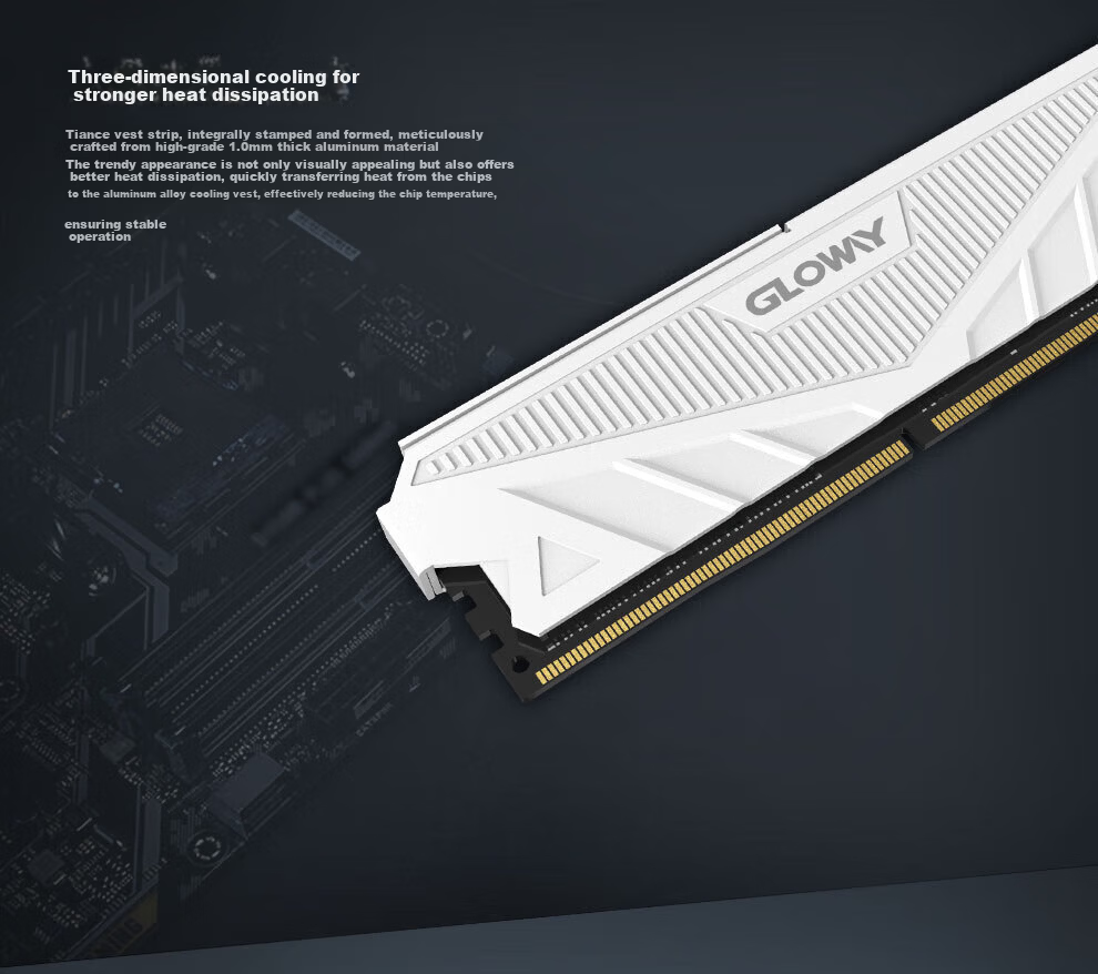 Gloway 32GB (16GBx2) DDR4 3600 Desktop RAM Tianze Heat Sink Selected Chips CL18 Moonlight White AI Computer Upgrade 1